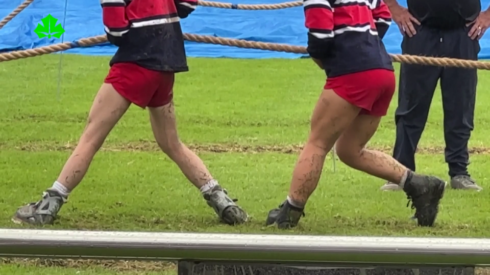 活动中挥洒, EwxFW, borde 活动中挥洒, EwxFW, borde