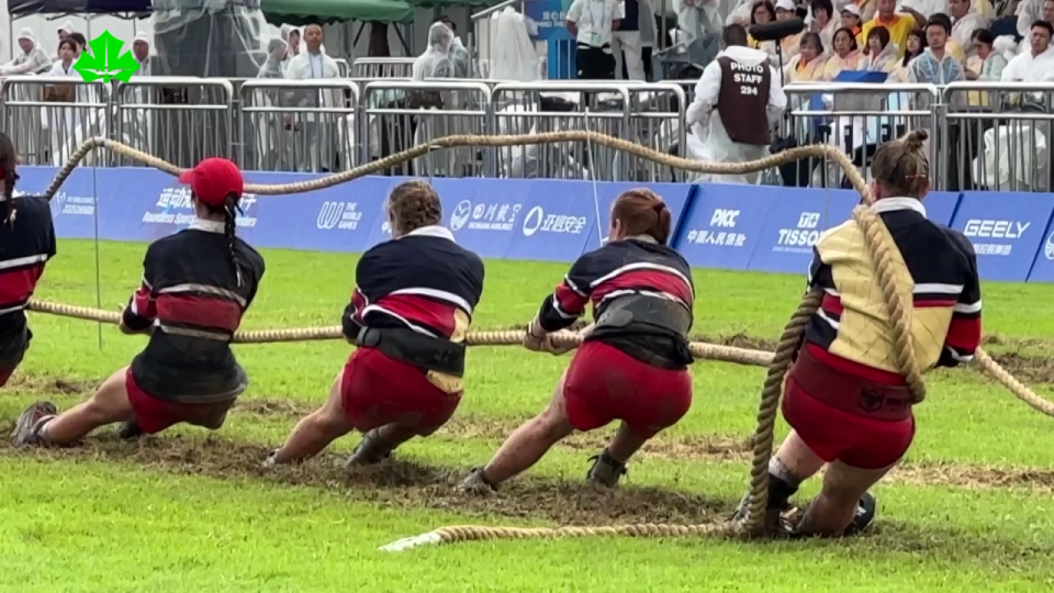 届世运会的, img, pcKqz 届世运会的, img, pcKqz