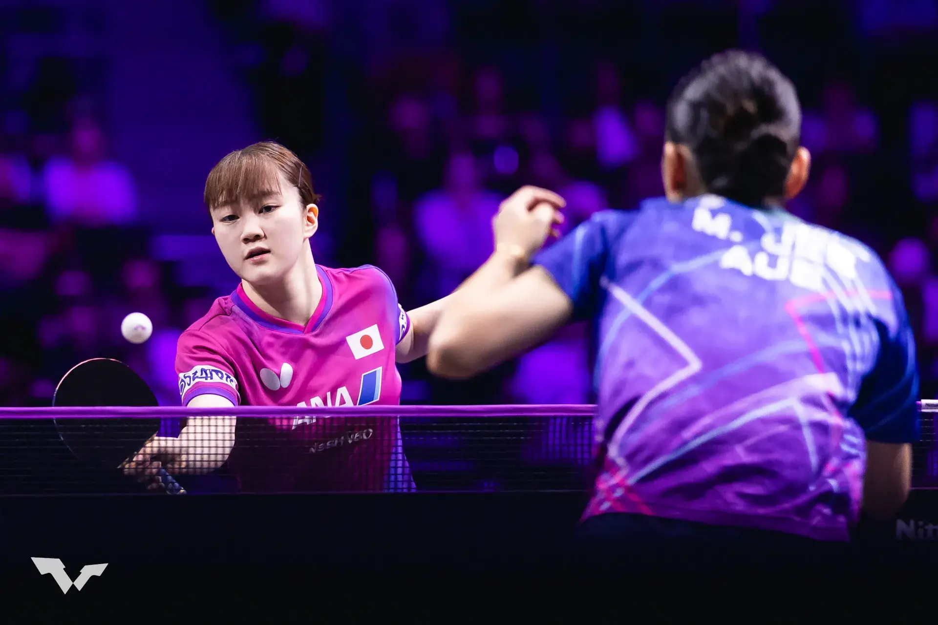 AA, 王楚钦战胜, 对手只要改