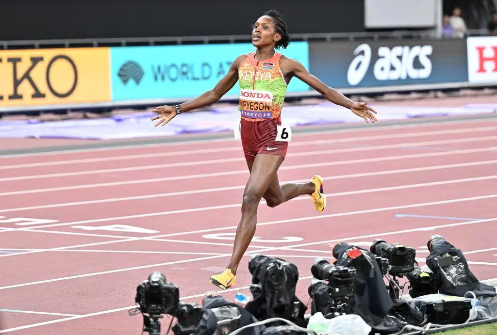 entit, msn, 就以 entit, msn, 就以