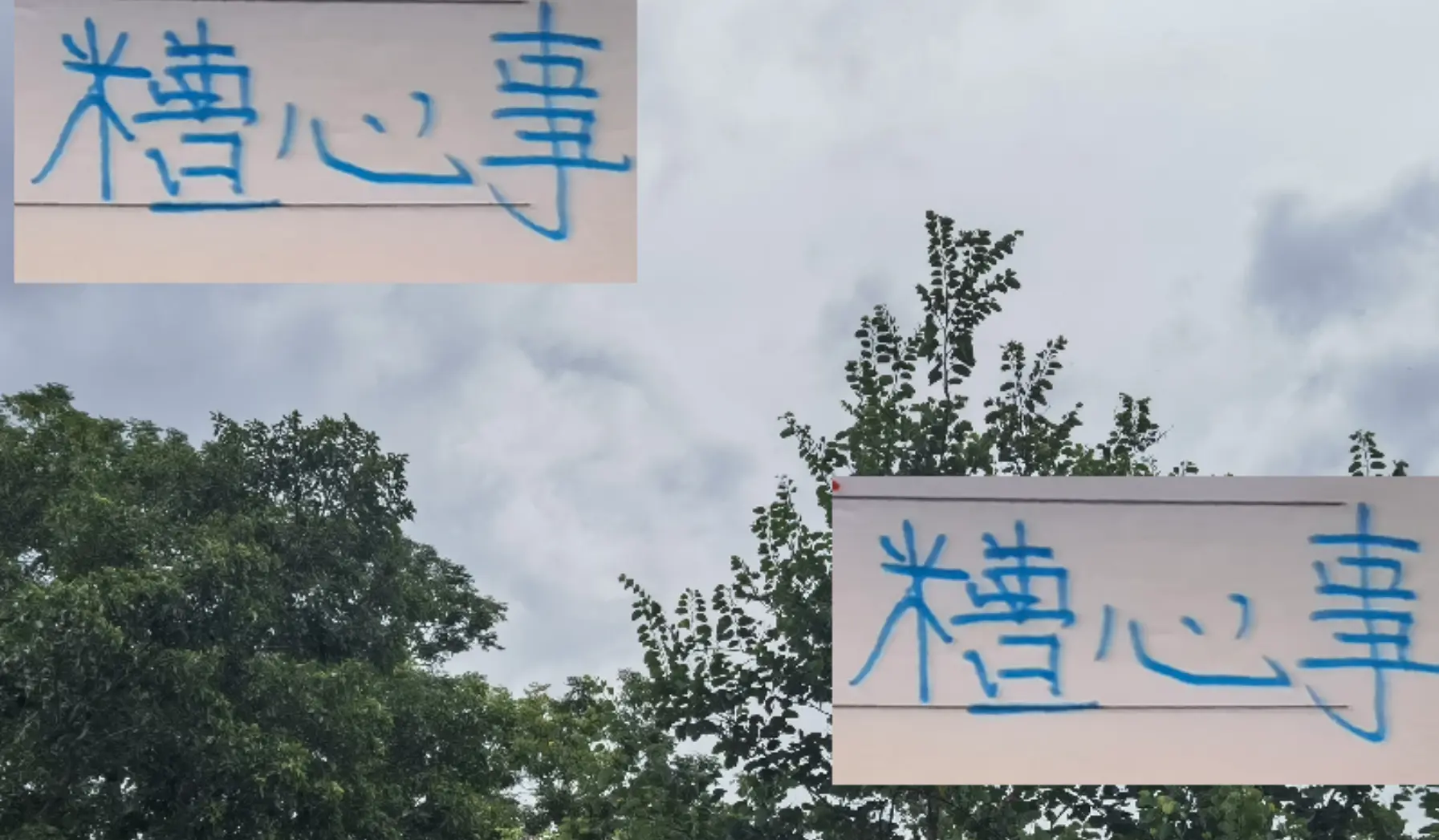 个球, 季别说进球, 数据统计 个球, 季别说进球, 数据统计